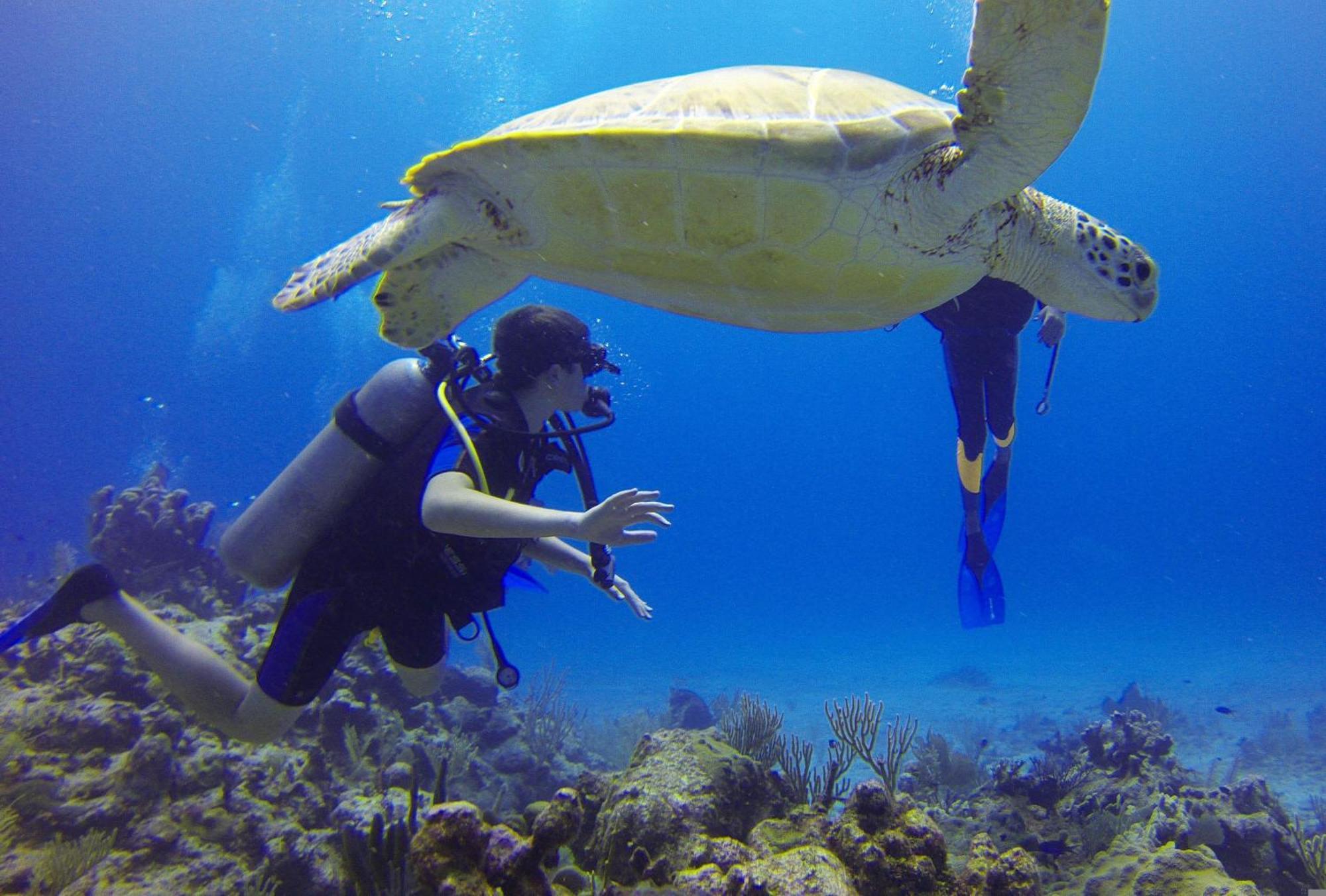 Roxon Red Sea Eilat - Adults Only Hotel Bagian luar foto
